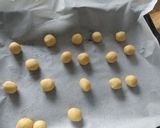 Foto langkah ke 5 dari resep Brown Sugar Cheese Ball.