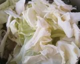 肉骨茶佐高麗菜的食譜步驟5照片