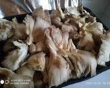 Tejfölös Laska gombás csirke 🐔🍄 recept fázis 3 fotója