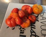 Une image de l'étape 1 de Sauce aux tomates fraîches, ail, oignon, basilic et romarin.