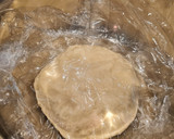 Foto del paso 6 de la receta: Pan de hamburguesa