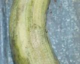 A picture of step 1 of Raw banana chips.