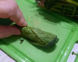 Foto del paso 2 de la receta: Espinacas: corte chiffonade