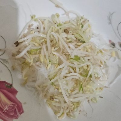 Langkah 7