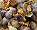 Foto del paso 3 de la receta: Almejas a la marinera