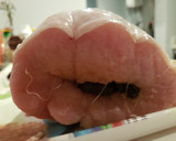 Foto del paso 4 de la receta: Lomo con ciruelas!!!