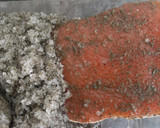 Foto del paso 5 de la receta: Gravlax de Salmón