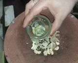 A picture of step 3 of Thandai powder & thandai.