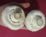 Foto del paso 1 de la receta: Champiñones rellenos