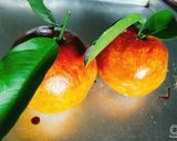 Hình bước làm 4 của món Bánh trung thu