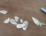 Foto del paso 3 de la receta Pasta con gambas y setas