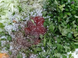વેજ ડ્રાય મંચુરિયન (Veg Dry Manchurian Recipe In Gujarati)