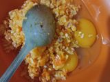 Dadar Nasi