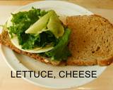 Delectable Sandwiches Sandwich Galore recipe step 3 photo