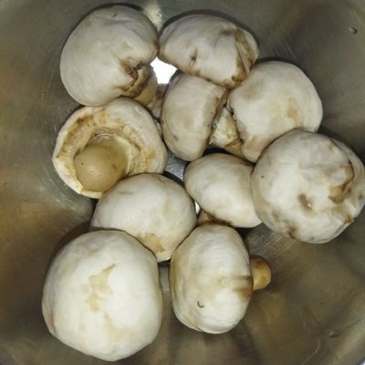 Langkah 1
