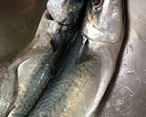 乾煎鯖魚的食譜步驟2照片