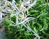 Hình bước làm 2 của món Bò xào giá và rau đắng