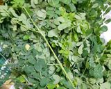 A picture of step 1 of Moringa powder.