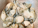 Canh Hàu Nấu Rau Răm