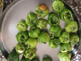 કેપ્સિકમ મરચાં નું ભરેલું શાક (Stuffed Capsicum Marcha Shak Recipe In Gujarati)