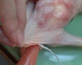 Foto langkah ke 7 dari resep Ayam Kodok.