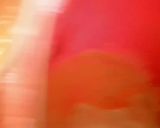 A picture of step 6 of Akara.