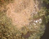 A picture of step 5 of Zucchini Butter.