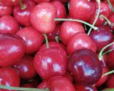 Une image de l'étape 1 de Smoothie betterave cerise a la djamicoo🍒.