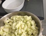 Foto del paso 1 de la receta: Crocante de manzana - muy fácil!