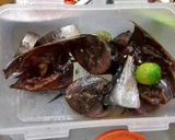 Foto langkah ke 1 dari resep Palumara ikan tongkol.