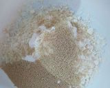Foto del paso 1 de la receta: Pizza