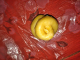 Roti Maryam