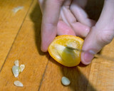 Foto del paso 2 de la receta: Kumquat limón y kumquat naranja deshidratados