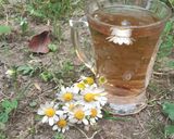 عکس مرحله 2 از دستور چای بابونه کرمانی