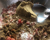 Foto del paso 1 de la receta: Tabaquitos “Yabrak”
