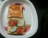 વેજીટેબલ ચીઝ સેન્ડવીચ(Vegetable cheese Sandwich Recipe in Gujarati) રેસીપી સ્ટેપ3ફોટો