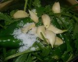 A picture of step 1 of Dhaniya Patta ki chutney.