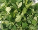 মেথি পরোটা (methi parota recipe in Bengali) রেসিপি ধাপ - 1 ছবি