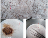 Foto del paso 1 de la receta: Postre coco-cocoa