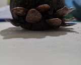 Foto del passaggio 6 della ricetta PIGNE AL CIOCCOLATO E CEREALI 🌲