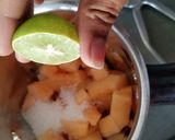A picture of step 4 of Cantaloupe sherbet.