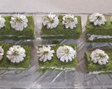 عکس مرحله 7 از دستور کیک اسفناج فاطمه پز 🥮🍰