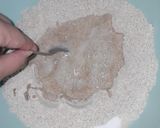 Foto del paso 1 de la receta: Pan Lactal Integral