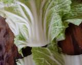 Chap-Chaai/Cap Cai (Indonesian Chinese Stir Fry Mixed Vegetables) recipe step 3 photo