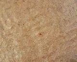 A picture of step 3 of Kibbeh bil Sanieh (Baked Kibbeh).