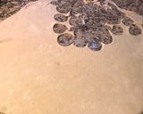 Foto del paso 2 de la receta: Capeletinis