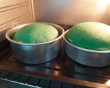 A picture of step 18 of Watermelon Slices.