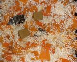 Foto del paso 2 de la receta: Risotto Cremoso de Calabaza y Zanahoria