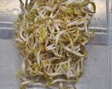 Foto langkah ke 1 dari resep Tumis Toge.