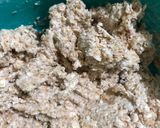 Foto del paso 1 de la receta: Galletitas de harina integral